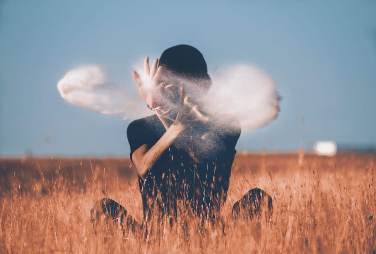 Confessions Of An Agitated Change-Maker